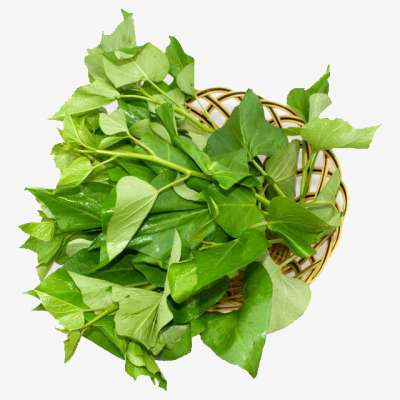 SWEET POTATO LEAVES with HIGH QUALITY